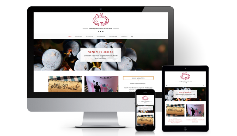 cellercanmata-web